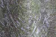 Croydon fibreglass roof work